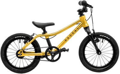 Rascal 14 Gold