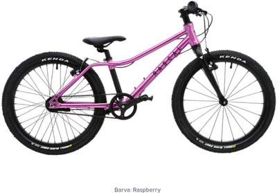 Rascal 20 Raspberry