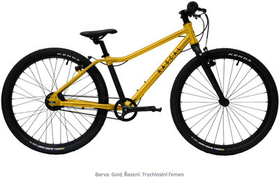 Rascal 24 Gold 7sp Nexus