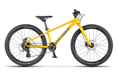 Beany Blaster XC 24 Gold