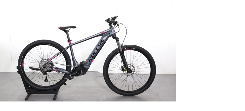 Kellys Tayen 10 T6
